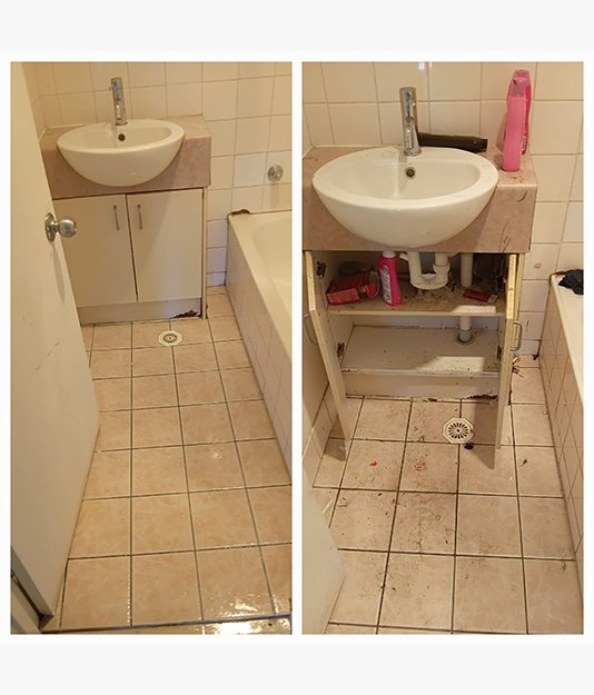 Purepro Cleaning Services